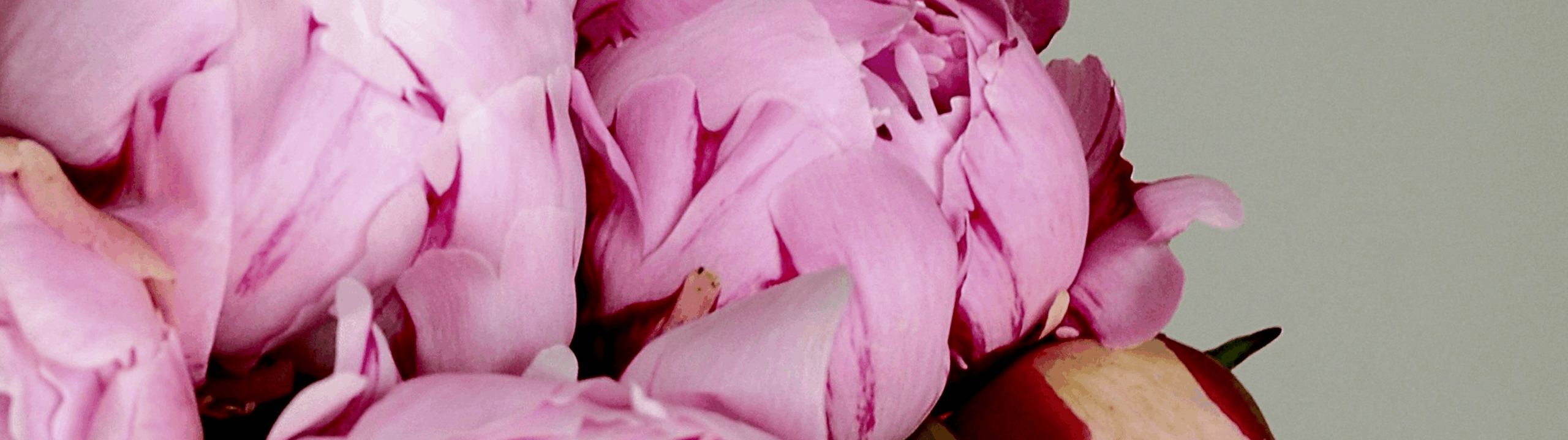 Default placeholder image