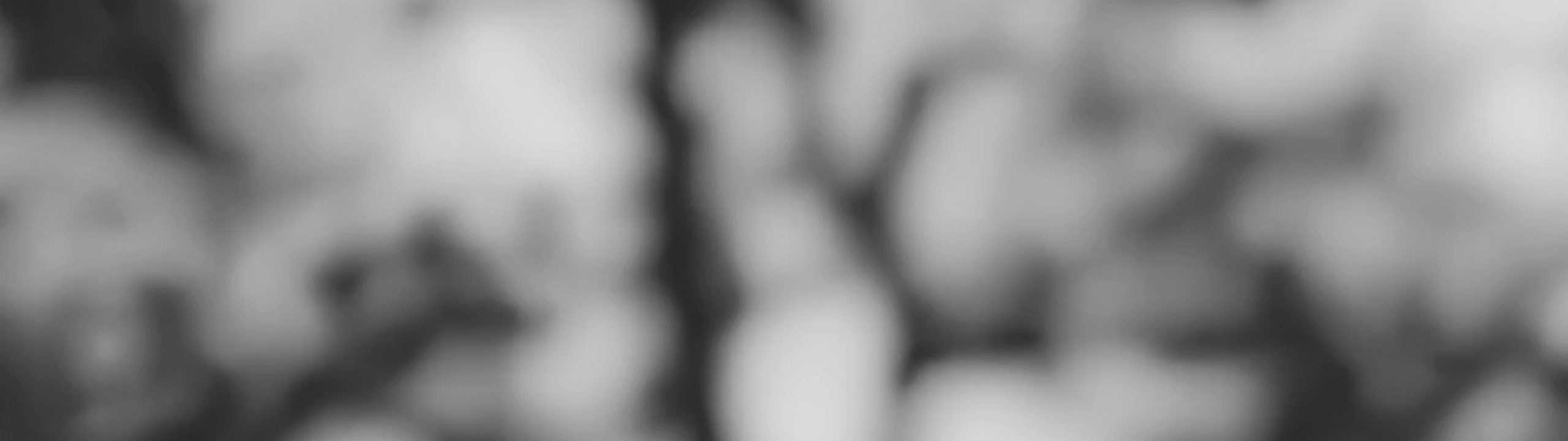 Default placeholder image