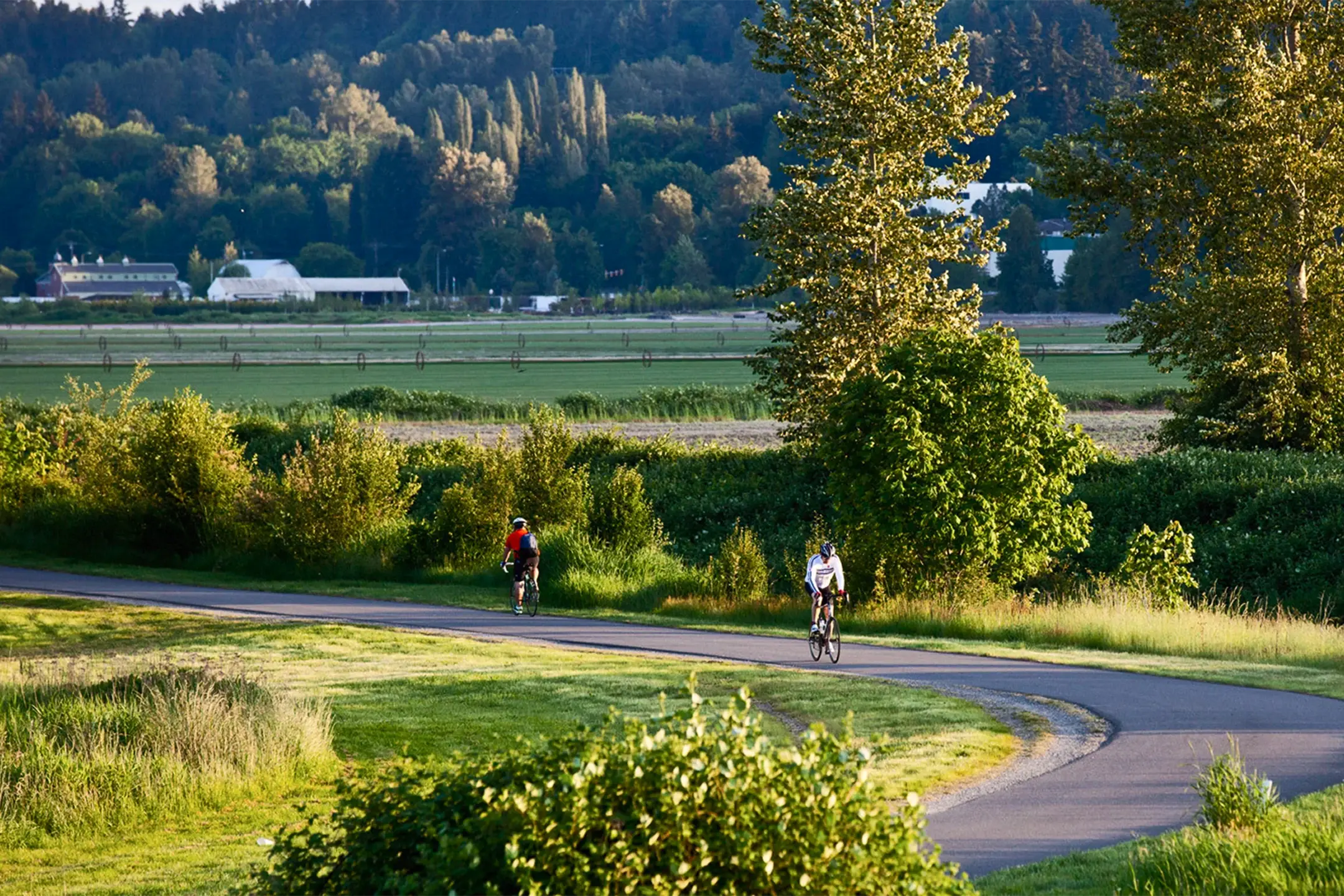 Default placeholder image